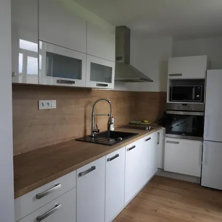 Apartman U Kunstatskeho Mlyna Orlicke Zahori Exterior photo